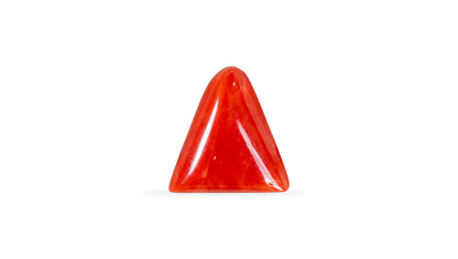 Natural Italian Red Coral (Moonga) 6.04 Carats