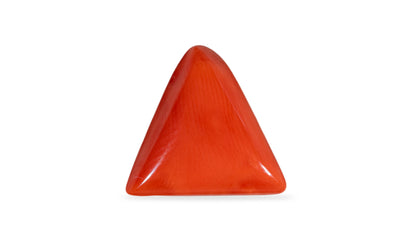 Natural Italian Red Coral (Moonga) 6.23 Carats