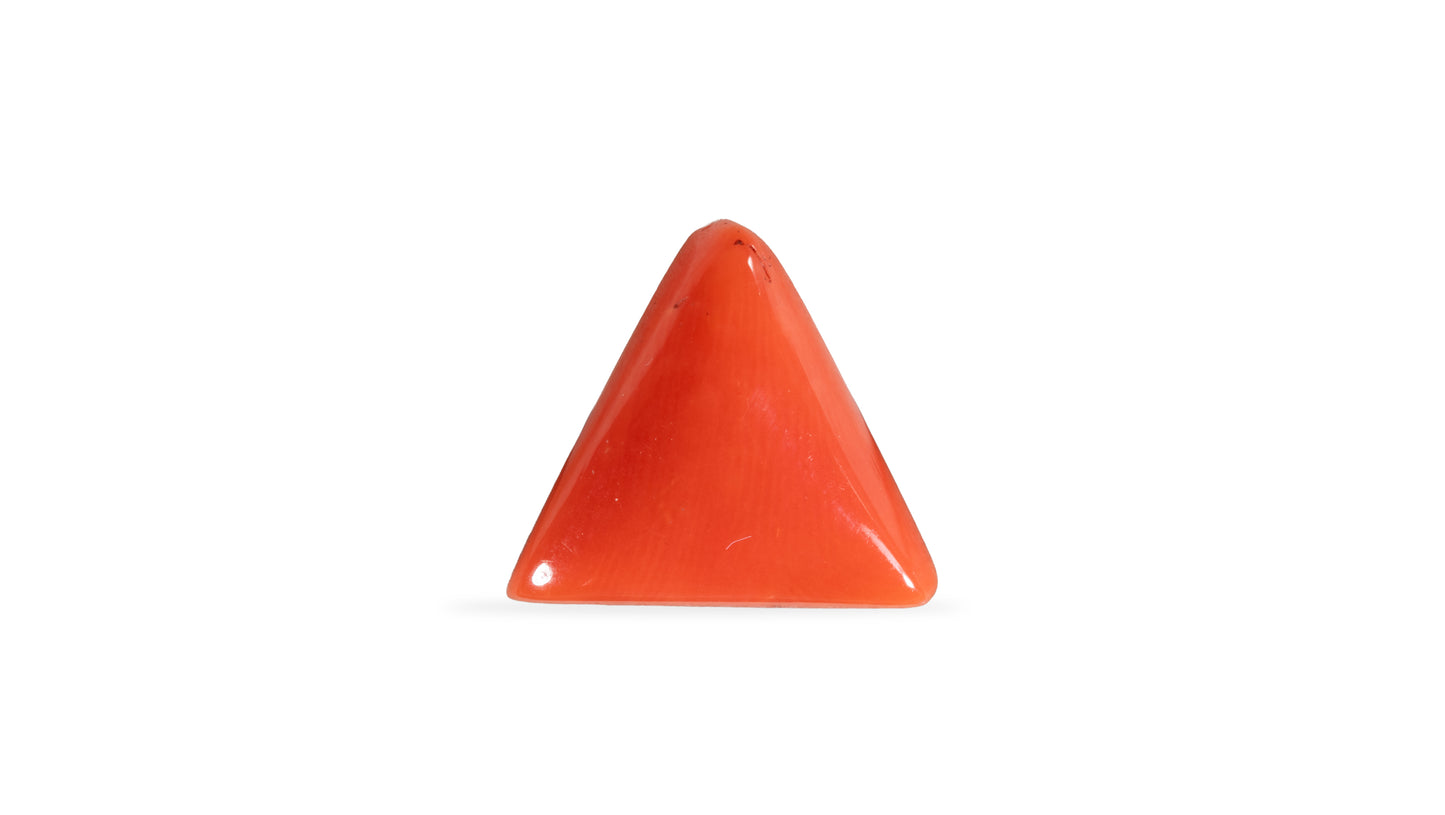 Natural Italian Red Coral (Moonga) 5.94 Carats