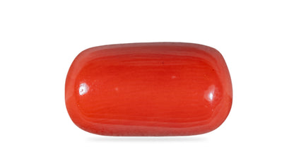 Natural Italian Red Coral (Moonga) 9.98 Carats