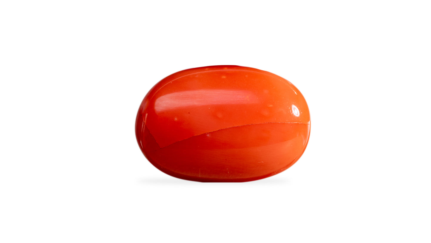 Japanese Red Coral (Moonga) 9.79 Carats