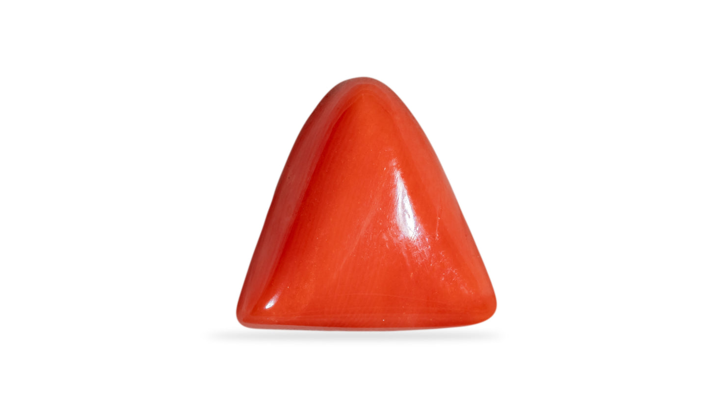Natural Italian Red Coral (Moonga) 6.52 Carats