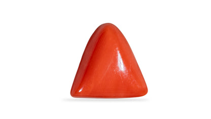 Natural Italian Red Coral (Moonga) 6.52 Carats
