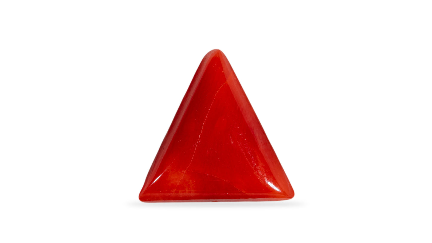 Natural Italian Red Coral (Moonga) 6.81 Carats
