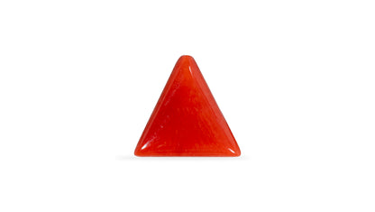 NATURAL RED CORAL (Moonga) 5.93 CARATS