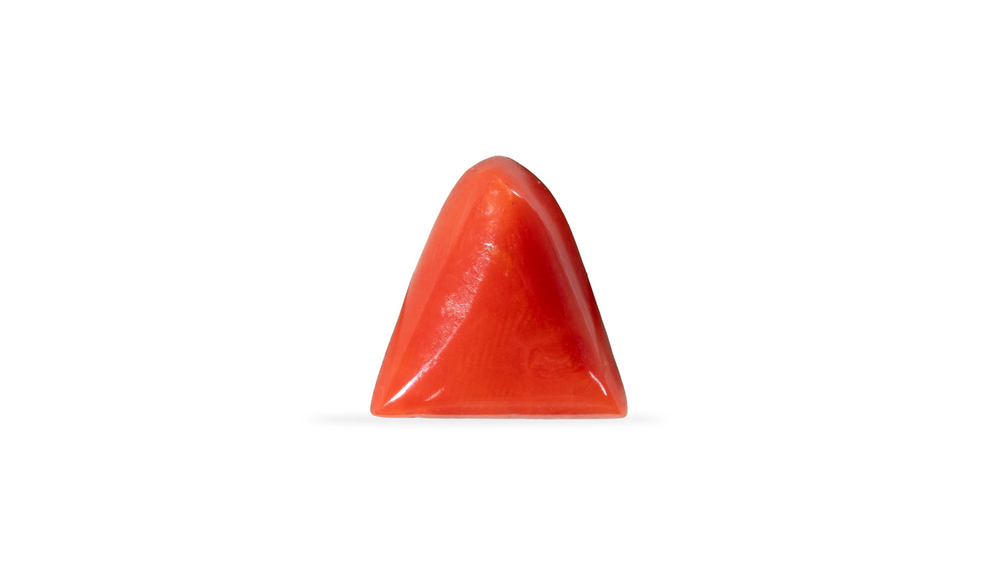 Natural Italian Red Coral (Moonga) 5.53 Carats