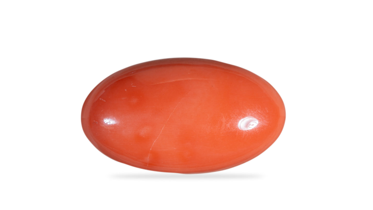Japanese Red Coral (Moonga) 46.06 Carats