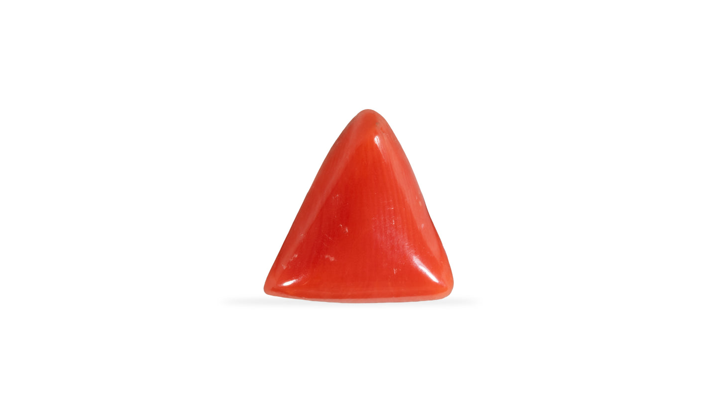 Natural Italian Red Coral (Moonga) 5.10 Carats