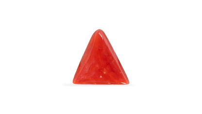Natural Italian Red Coral (Moonga) 5.54 Carats