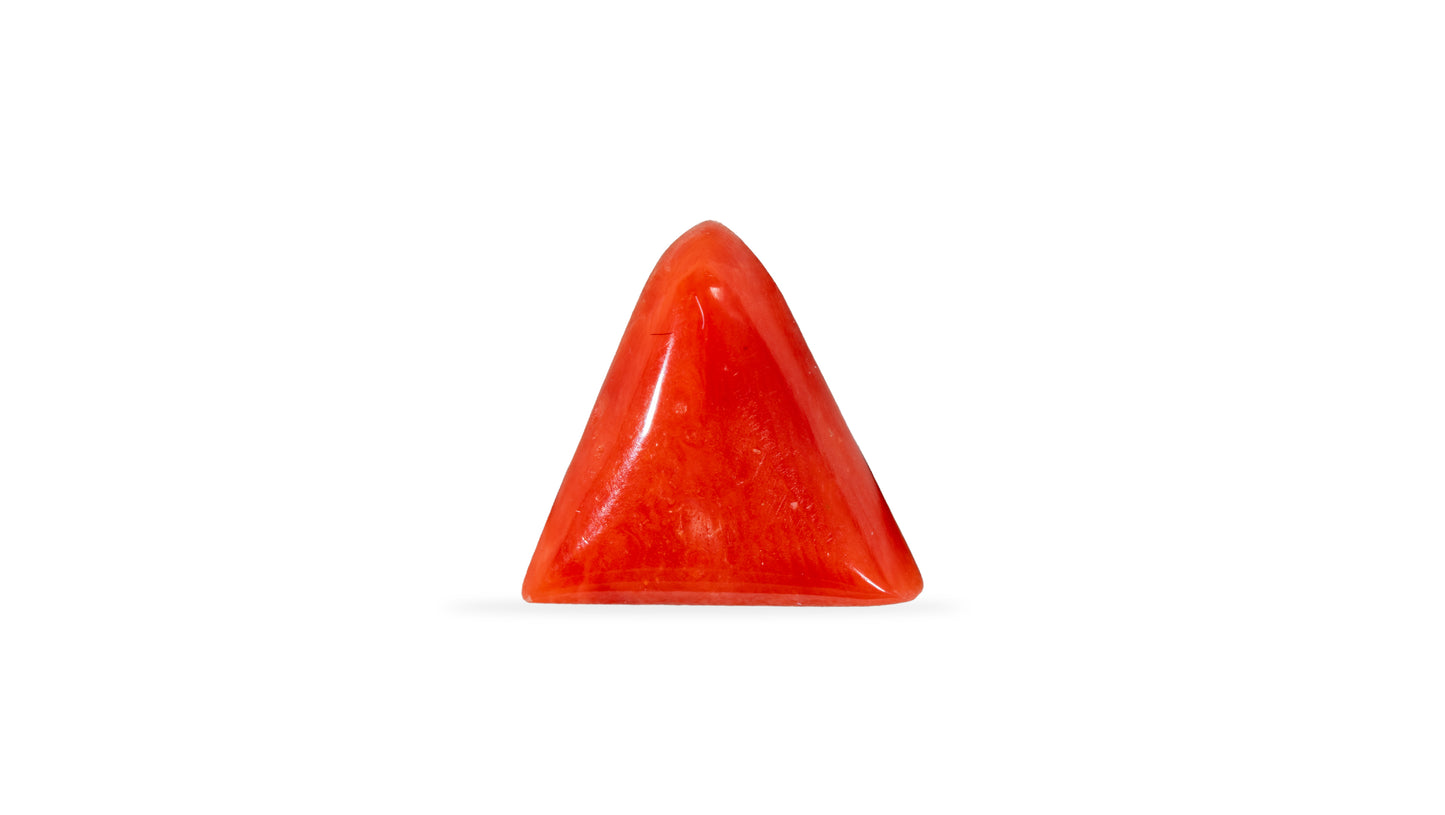 Natural Italian Red Coral (Moonga) 5.24 Carats