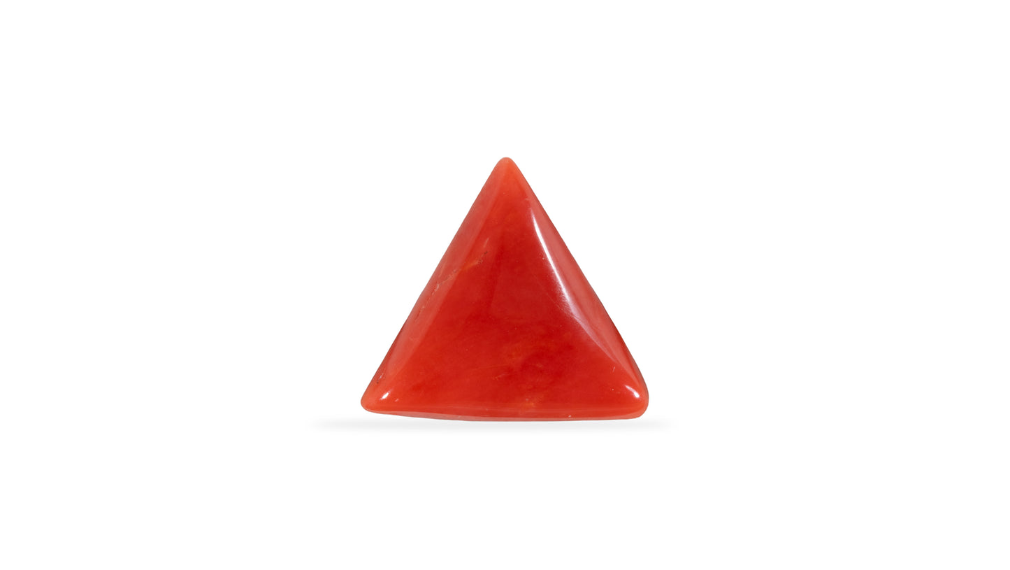 Natural Italian Red Coral (Moonga) 5.99 Carats