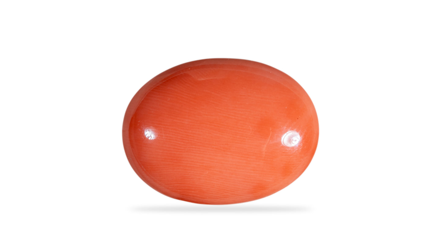 Japanese Red Coral (Moonga) 13.83 Carats