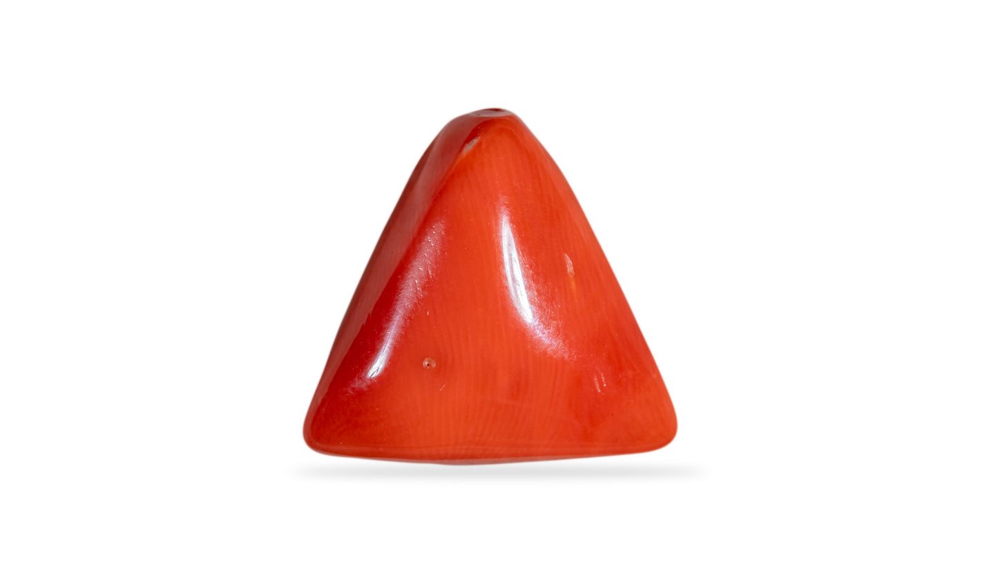 NATURAL RED CORAL (Moonga) 13.83 CARATS