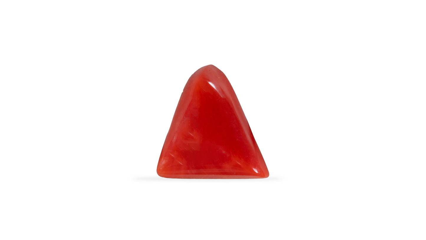 Natural Italian Red Coral (Moonga) 5.75 Carats