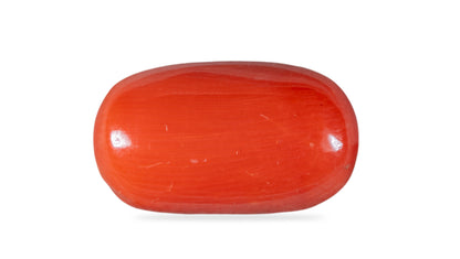 Natural Italian Red Coral (Moonga) 9.55 Carats
