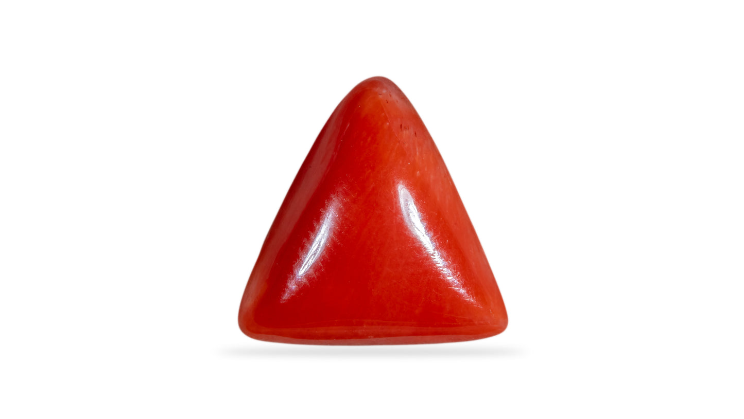 Natural Italian Red Coral (Moonga) 6.26 Carats