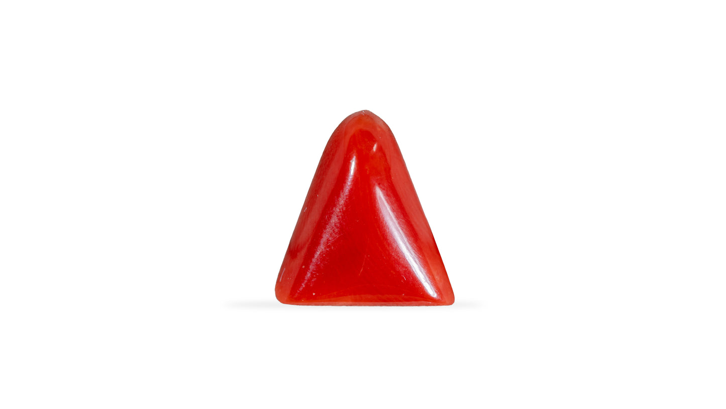 Natural Italian Red Coral (Moonga) 5.42 Carats