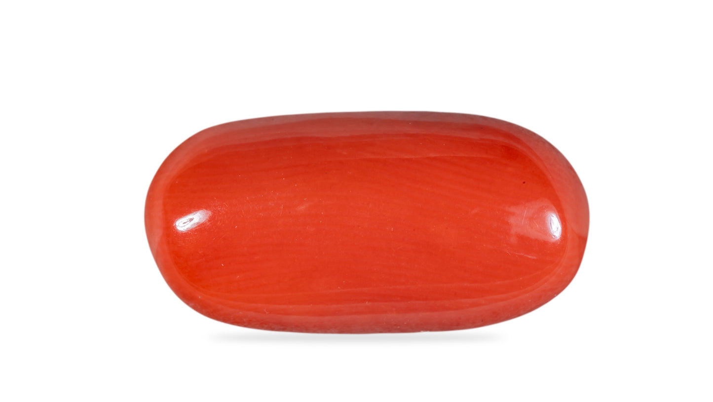 Natural Red Coral (Moonga) 8.23 Carats