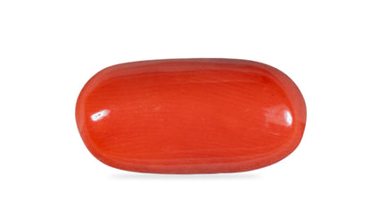 Natural Red Coral (Moonga) 8.23 Carats