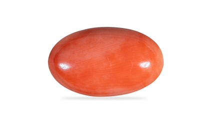 Japanese  Red Coral (Moonga) 12.18 Carats