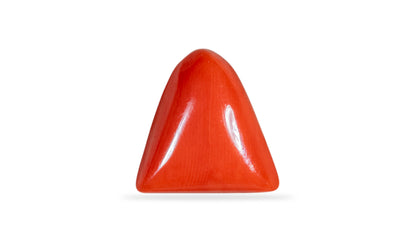 Natural Italian Red Coral (Moonga) 7.15 Carats