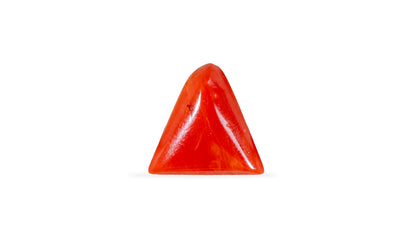Natural Italian Red Coral (Moonga) 5.39 Carats
