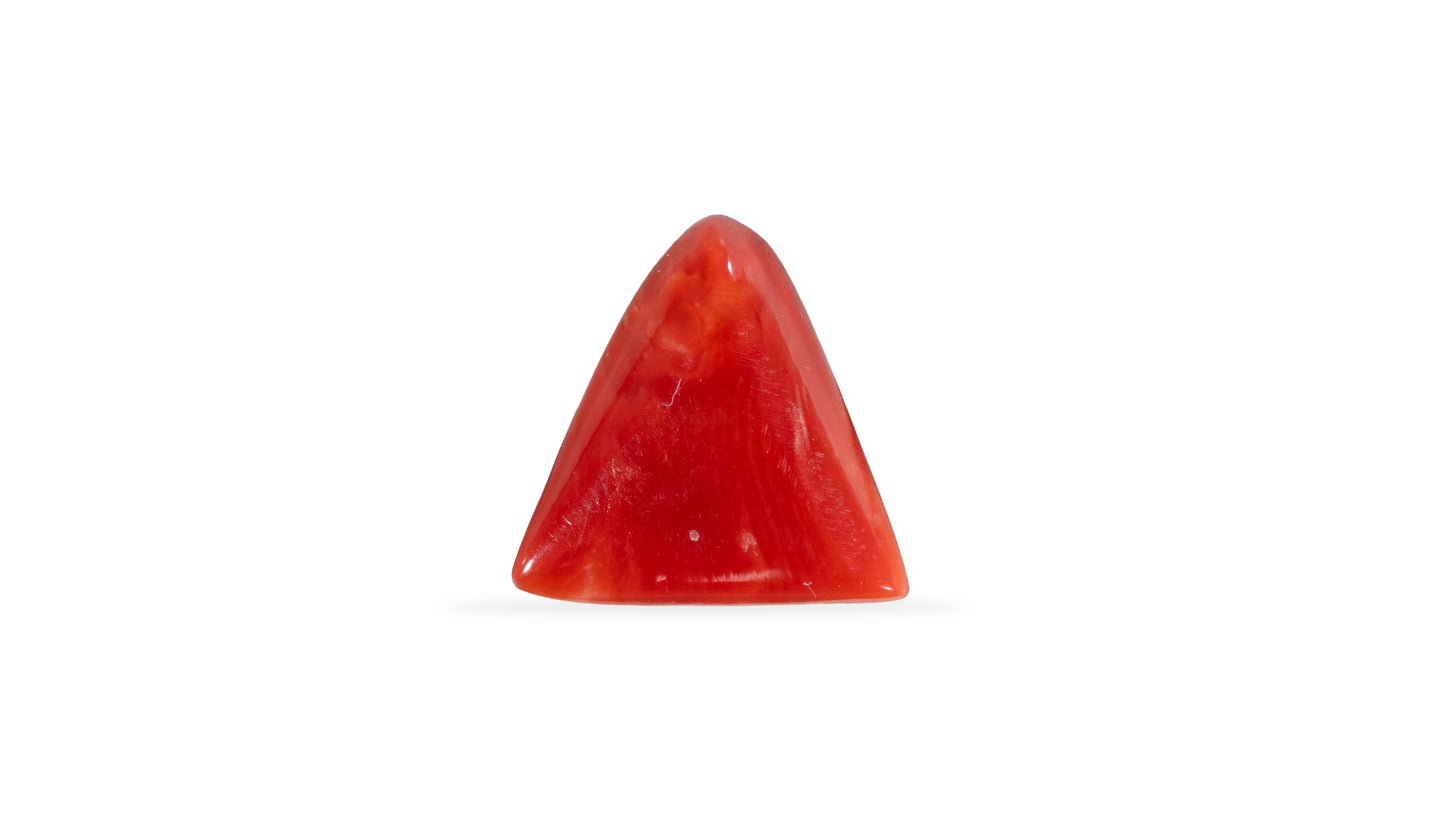 Natural Italian Red Coral (Moonga) 5.80 Carats