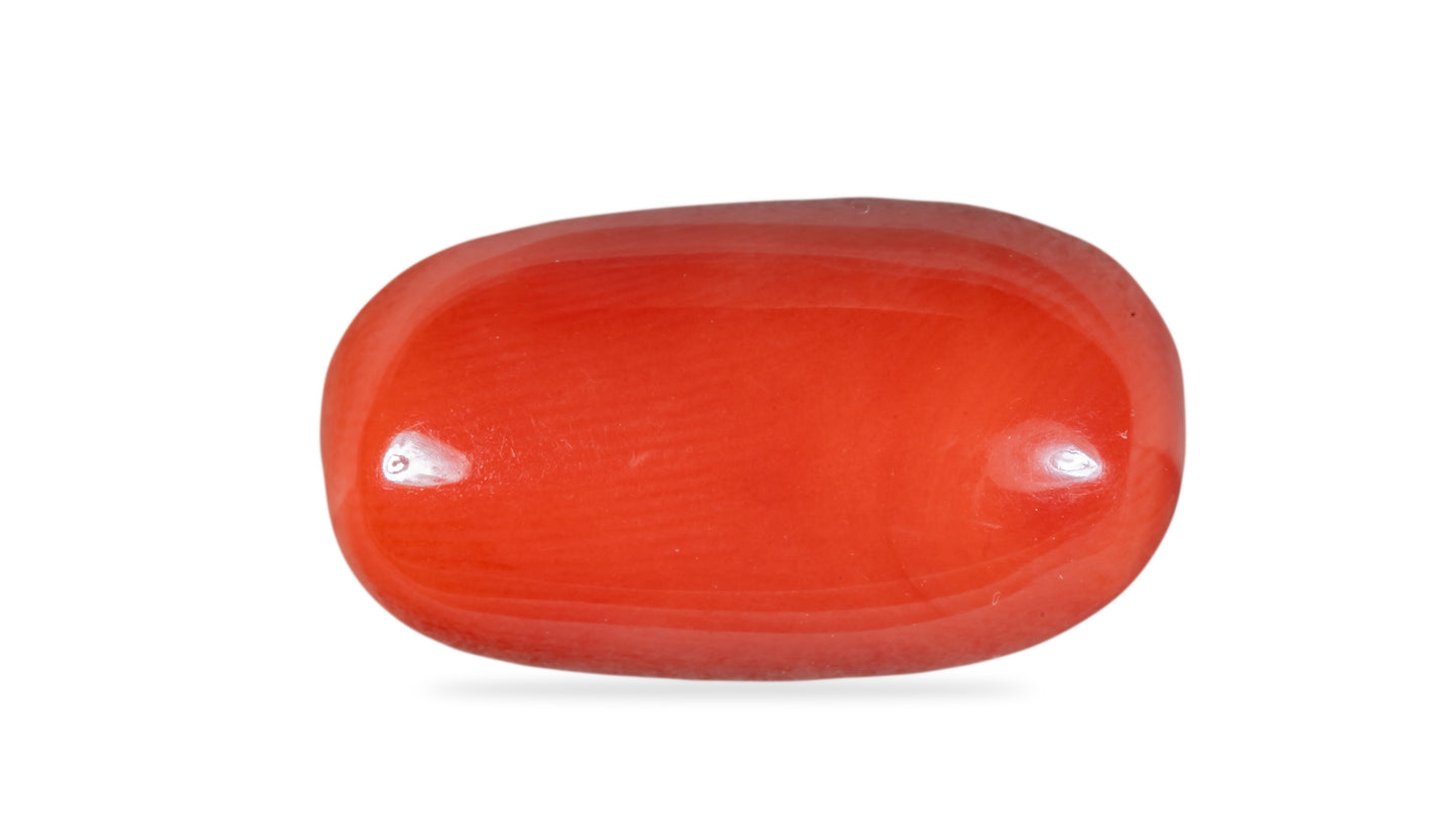 NATURAL RED CORAL (Moonga) 7.92 CARATS