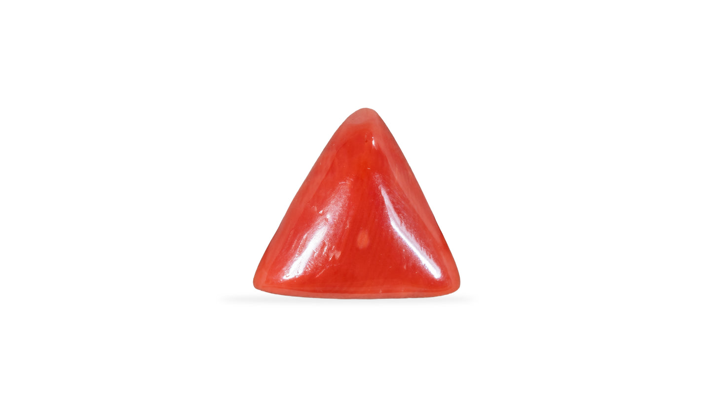 Natural Italian Red Coral (Moonga) 5.09 Carats