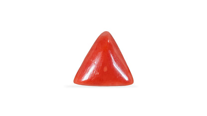 Natural Italian Red Coral (Moonga) 5.09 Carats