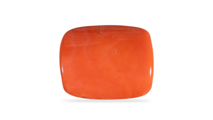Japanese Red Coral (Moonga) 19.90 Carats