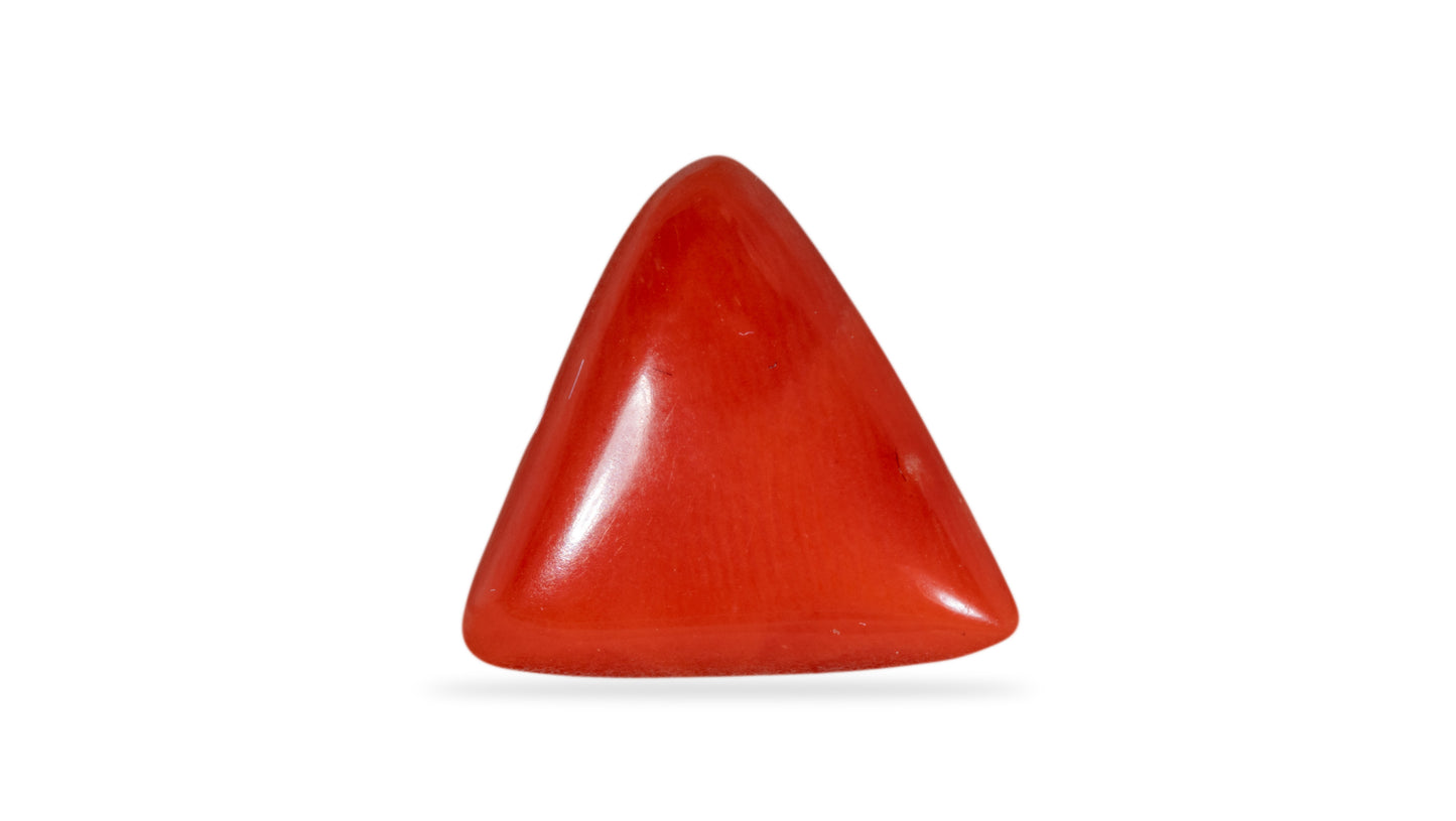 NATURAL RED CORAL (Moonga) 4.27 CARATS