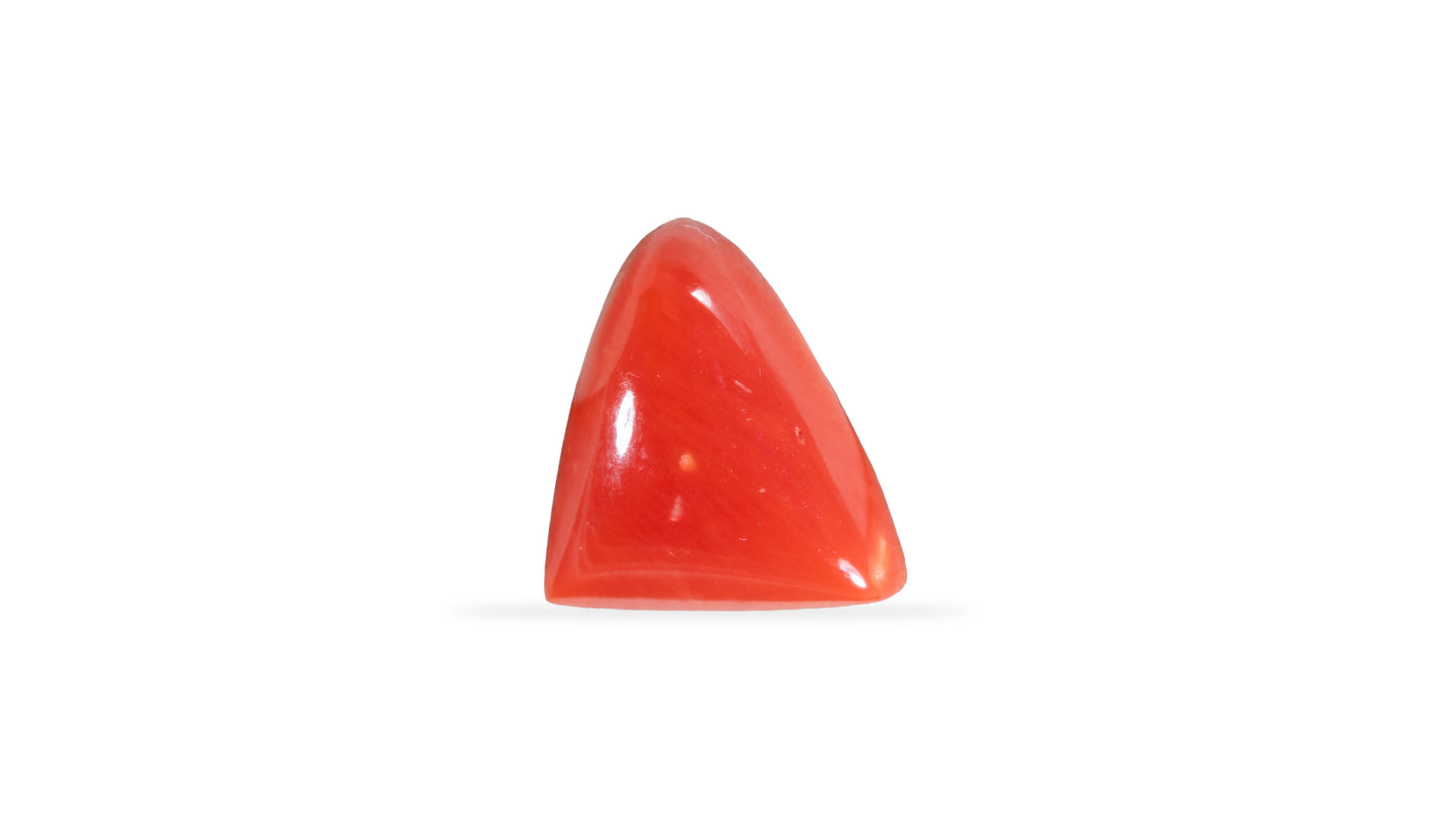 Natural Italian Red Coral (Moonga) 5.32 Carats