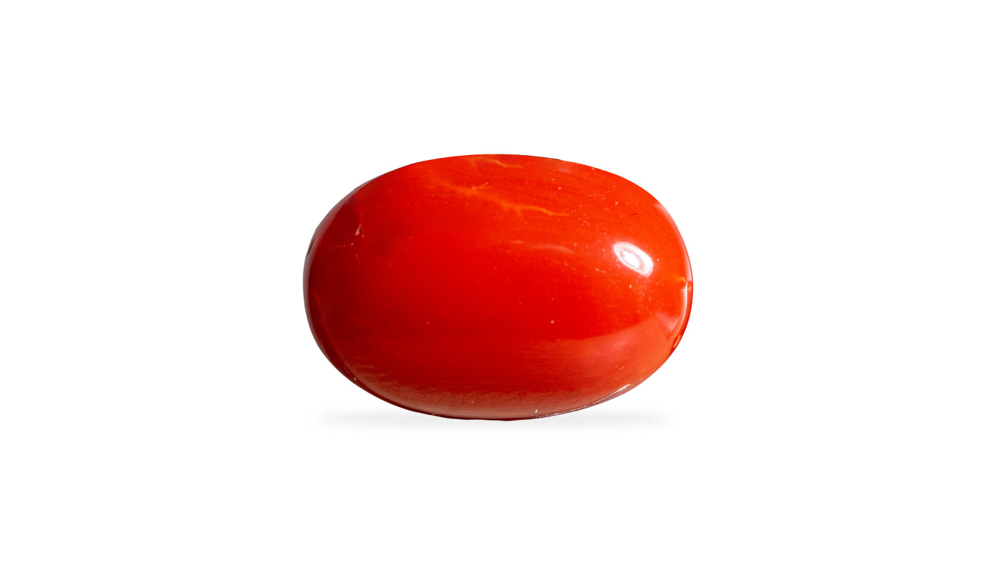 Japanese Red Coral (Moonga) 8.62 Carats