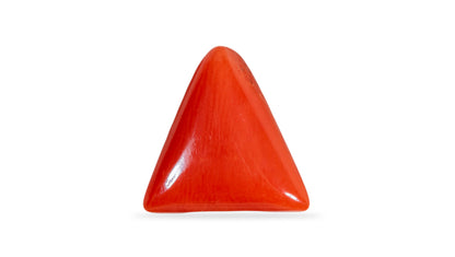 Natural Italian Red Coral (Moonga) 6.96 Carats