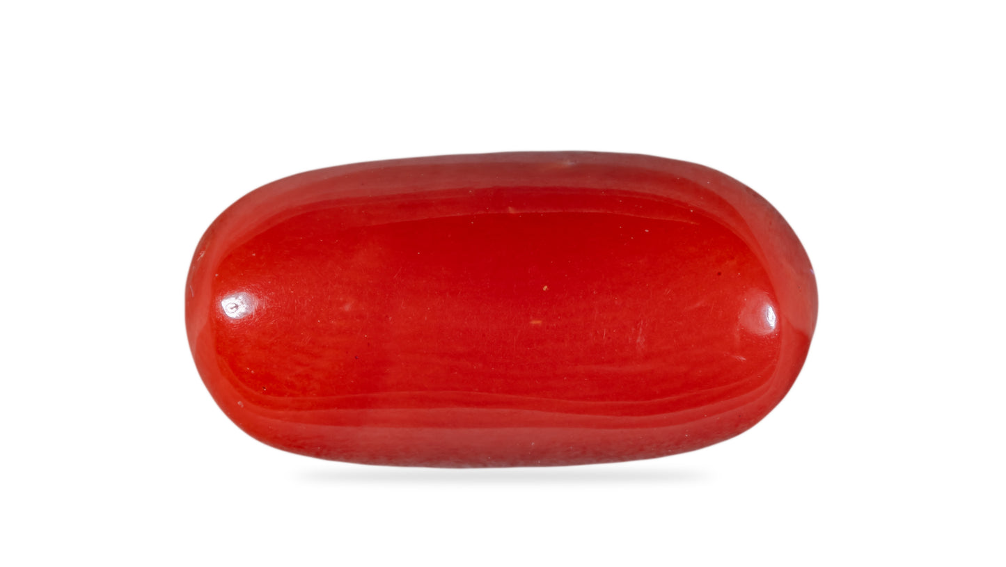 Natural Italian Red Coral (Moonga) 8.10 Carats