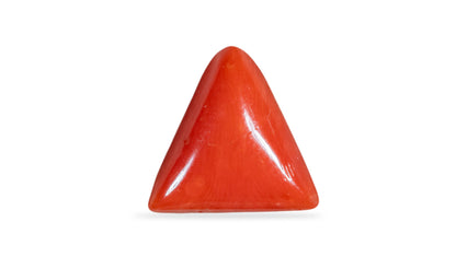 Natural Italian Red Coral (Moonga) 6.29 Carats