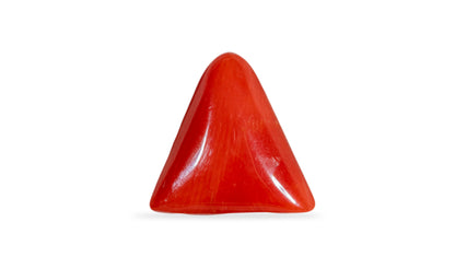 Natural Italian Red Coral (Moonga) 6.95 Carats