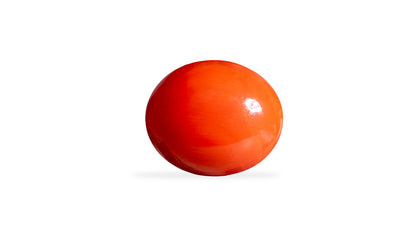 Japanese Red Coral (Moonga) 5.99 Carats