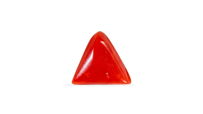 Natural Italian Red Coral (Moonga) 4.99 Carats