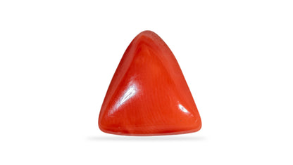 Natural Italian Red Coral (Moonga) 5.86 Carats