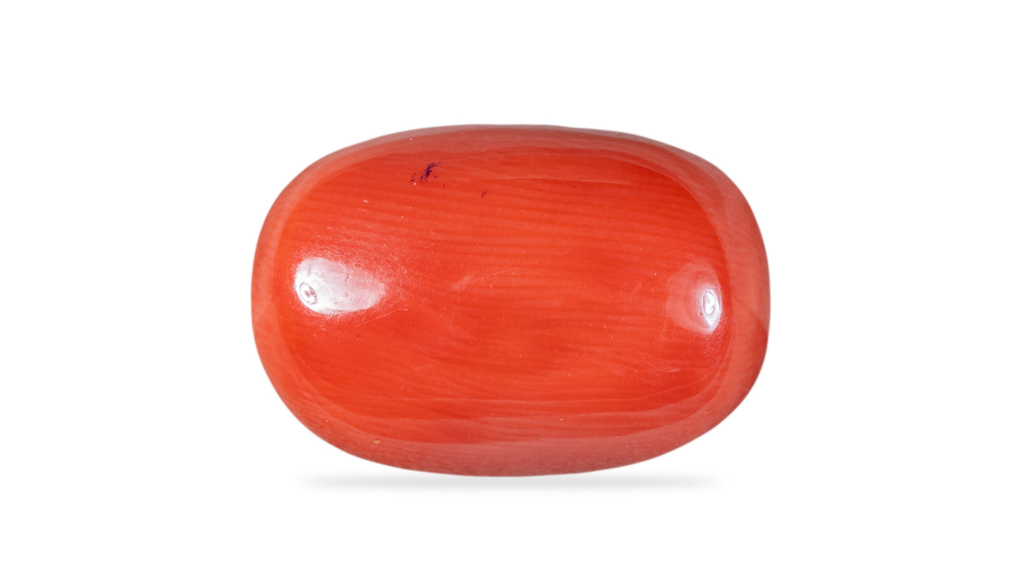 Natural Italian Red Coral (Moonga) 12.48 Carats