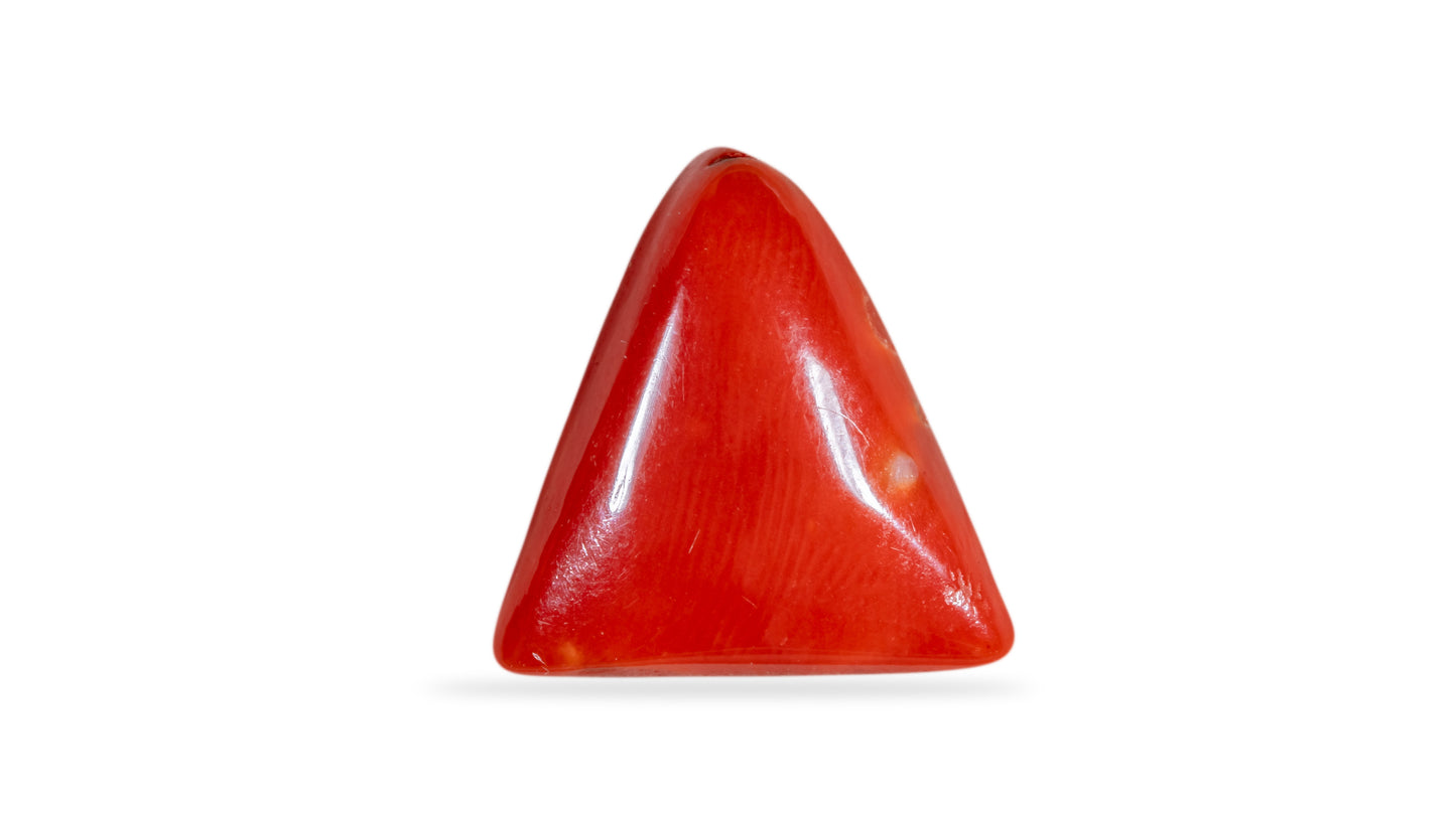 Natural Italian Red Coral (Moonga) 6.30 Carats