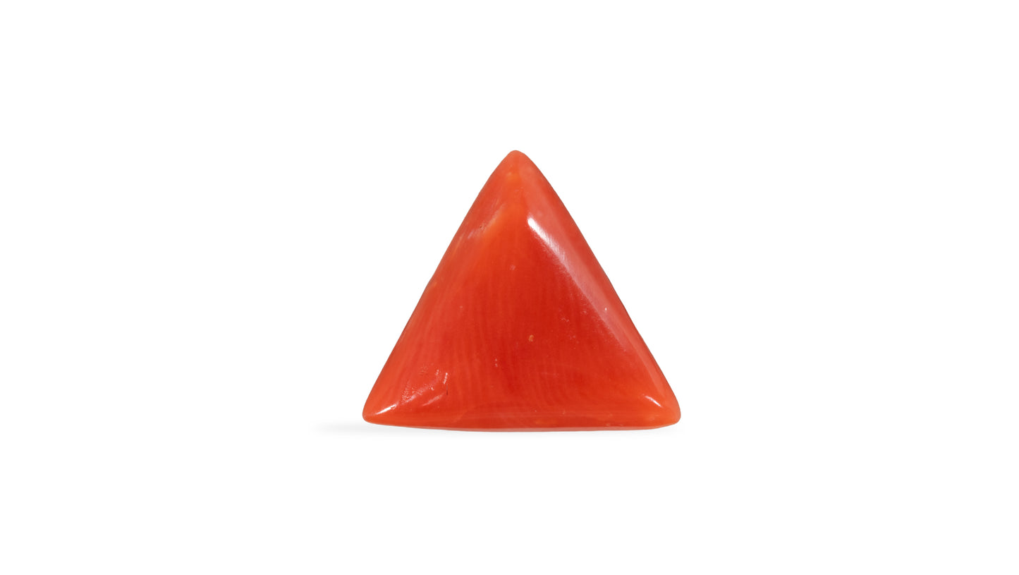 Natural Italian Red Coral (Moonga) 6.21 Carats