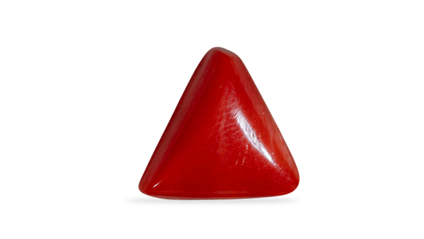 Natural Italian Red Coral (Moonga) 6.16 Carats