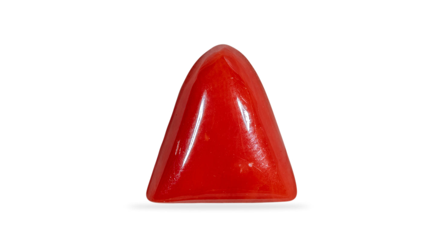Natural Italian Red Coral (Moonga) 6.45 Carats