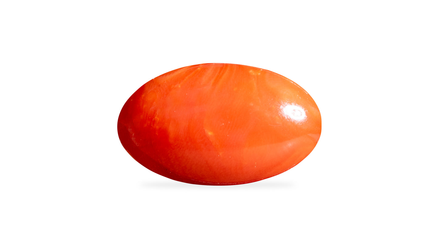 Japanese Red Coral (Moonga) 7.20 Carats