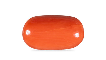 NATURAL RED CORAL (Moonga) 5.74 CARATS