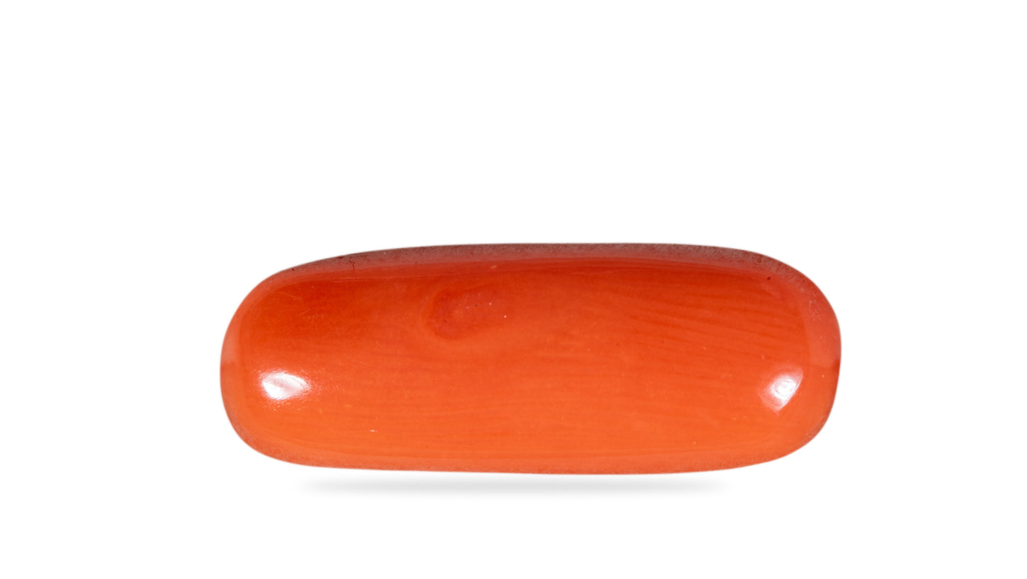 NATURAL RED CORAL (Moonga) 6.04 CARATS