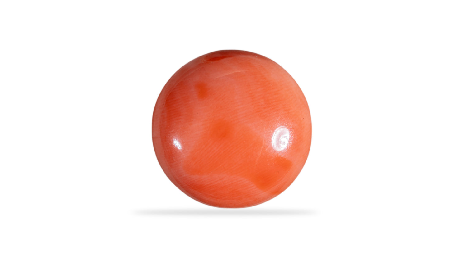 Japanese Red Coral (Moonga) 14.79 Carats